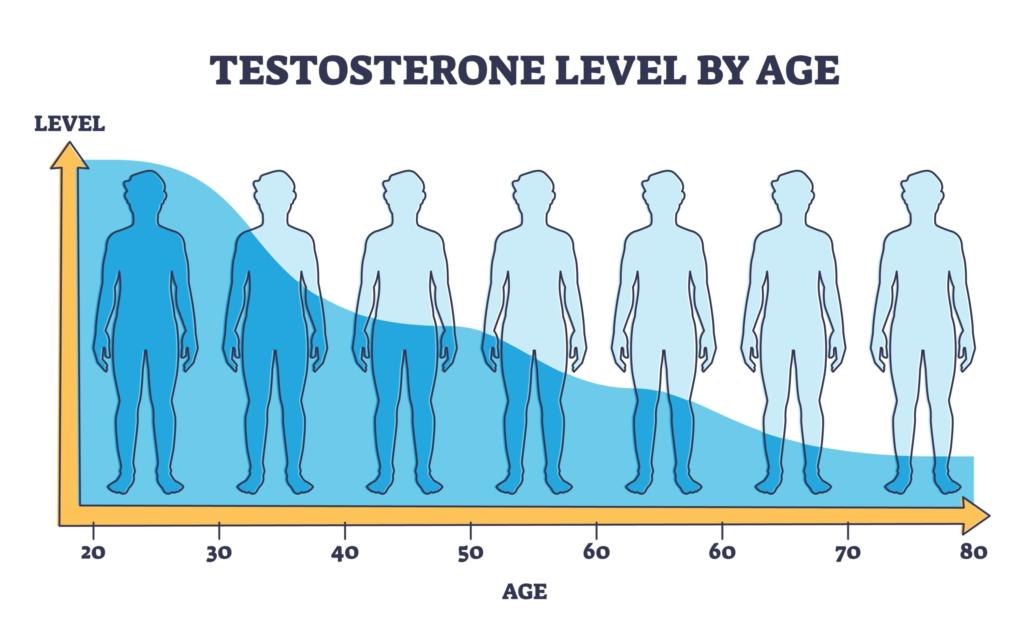 A descending graph showing testosterone levels dropping as men age, with icons for fatigue, low libido, and weight gain.